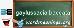 WordMeaning blackboard for gaylussacia baccata